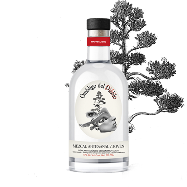 Mezcal Madrecuishe